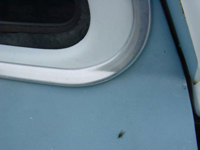 1964 1966 gmc custom 7