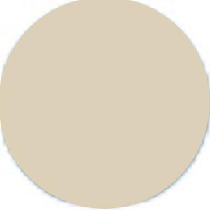 1955-1959 Interior Paint Egg Shell Quart Chevrolet Pickup Truck