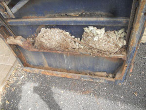 Mice Love Old Chevy Trucks